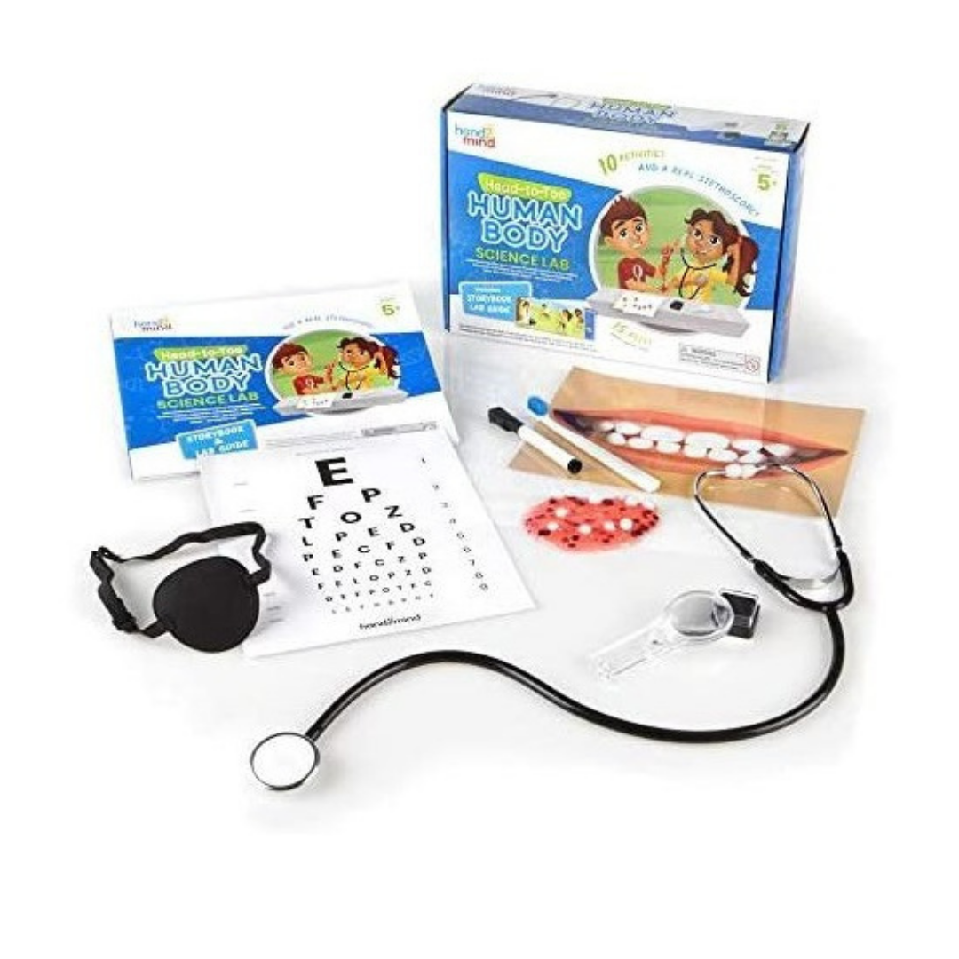 Learning Resources Hand2Mind Human Body Science Lab